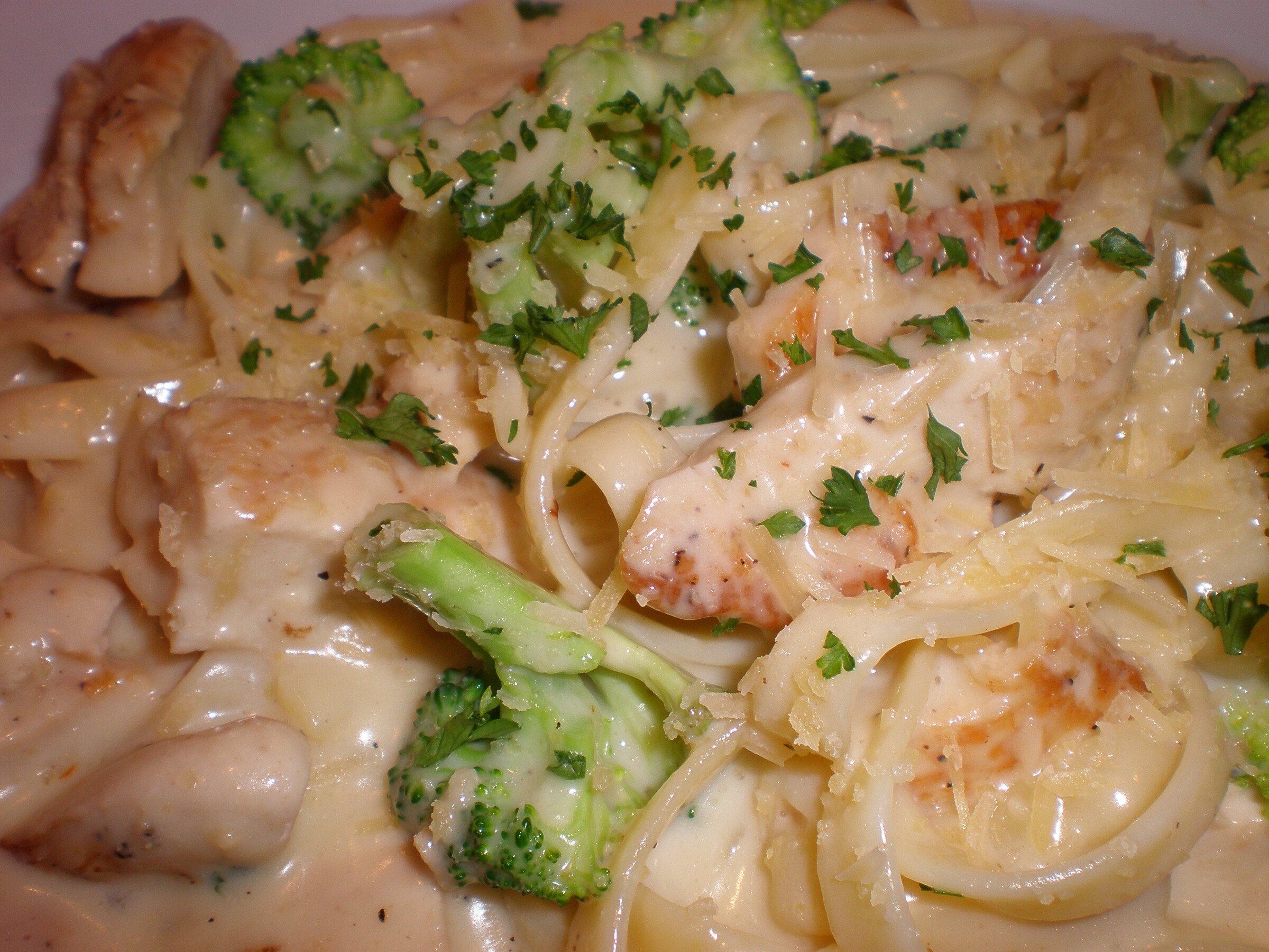 Close-up of chicken Alfredo with broccoli in a creamy Parmesan sauce